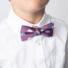 Load image into Gallery viewer, Kids Zebra Buffalo Bow Tie or Neck Tie
